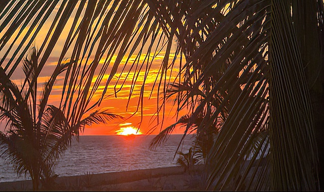 La Sire Gordita Sunset